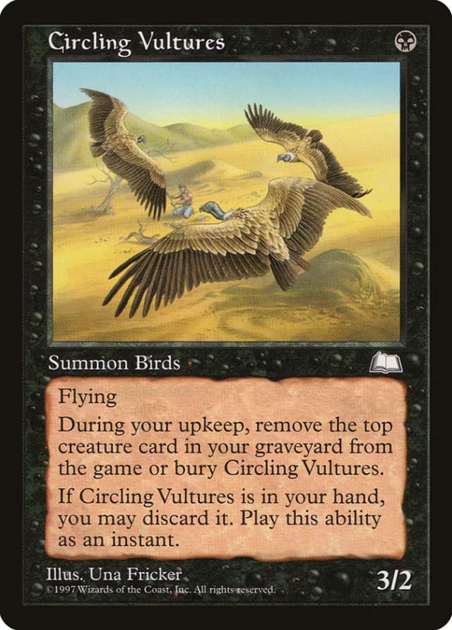 Circling Vultures image
