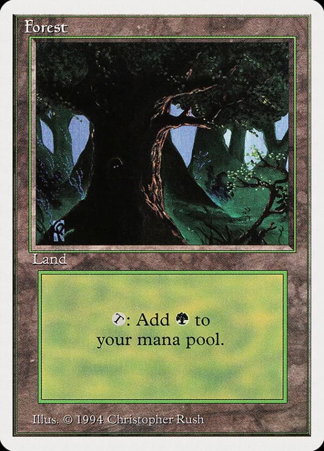 Forest image