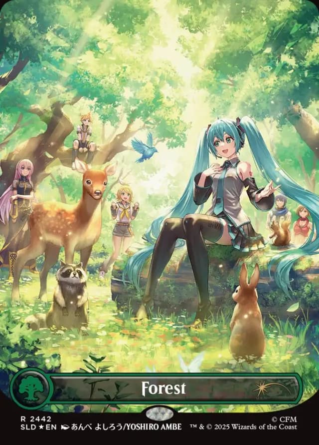 Forest image