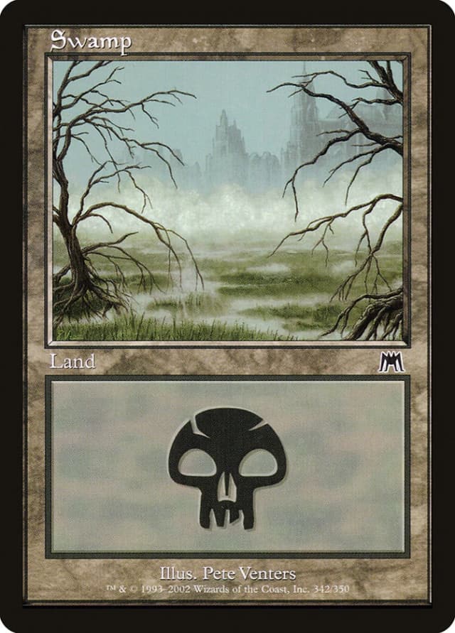 Swamp image