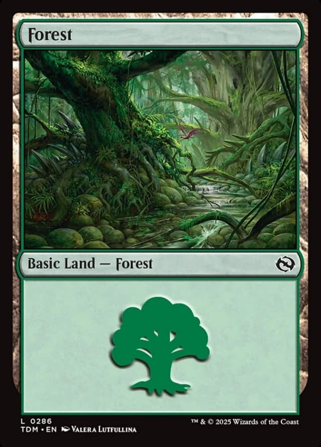 Forest image