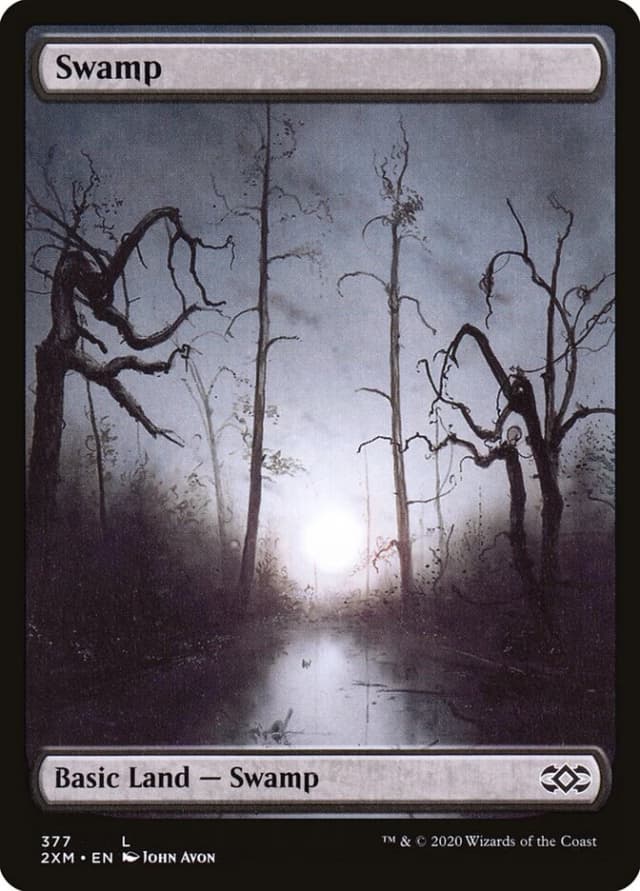 Swamp image