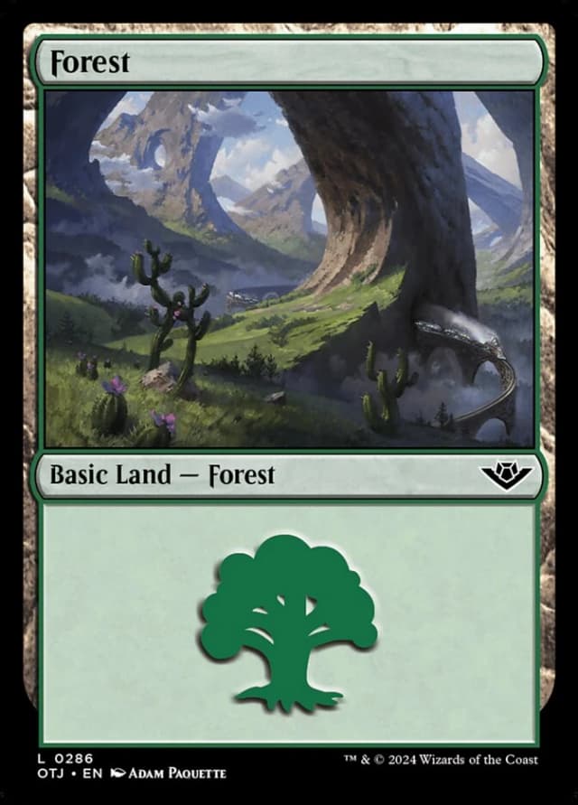 Forest image