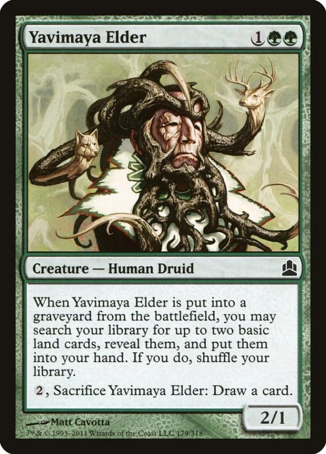 Yavimaya Elder image