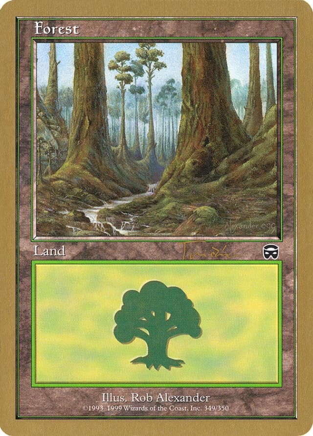Forest image