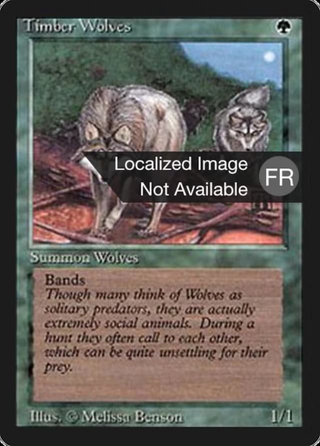 Timber Wolves image