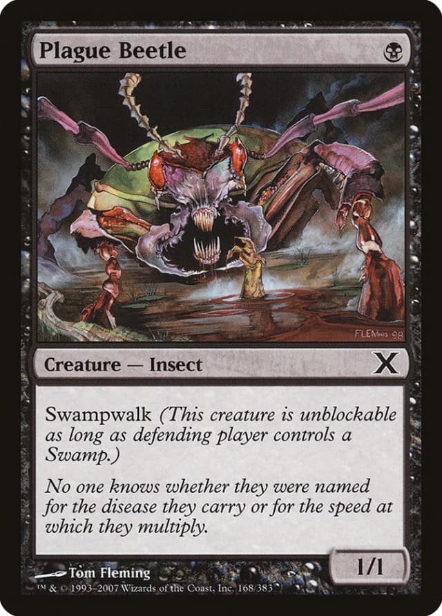 Plague Beetle image