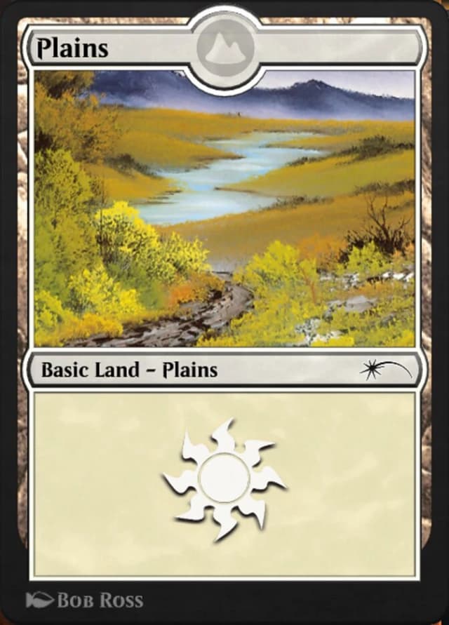 Plains image