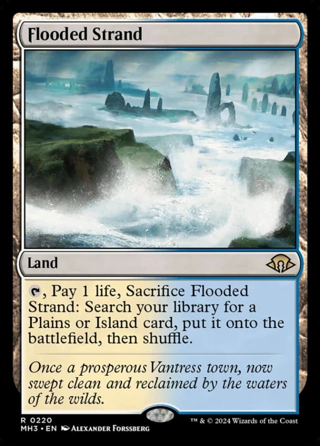 Flooded Strand image