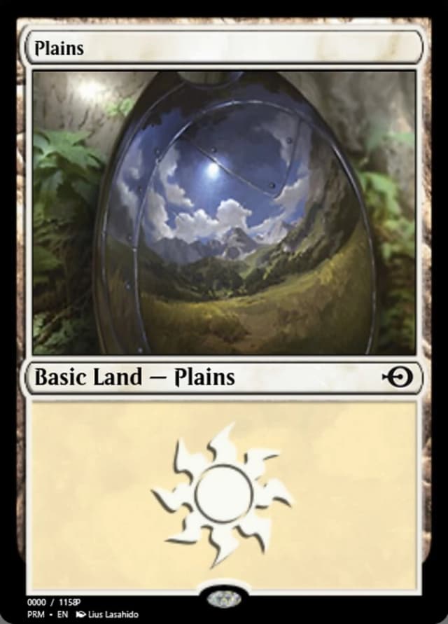 Plains image