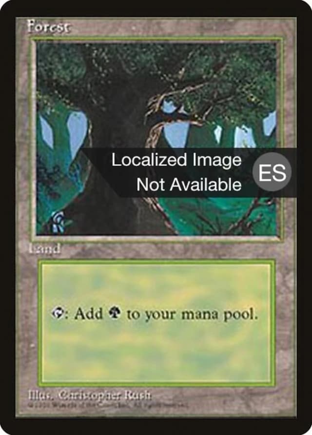 Forest image