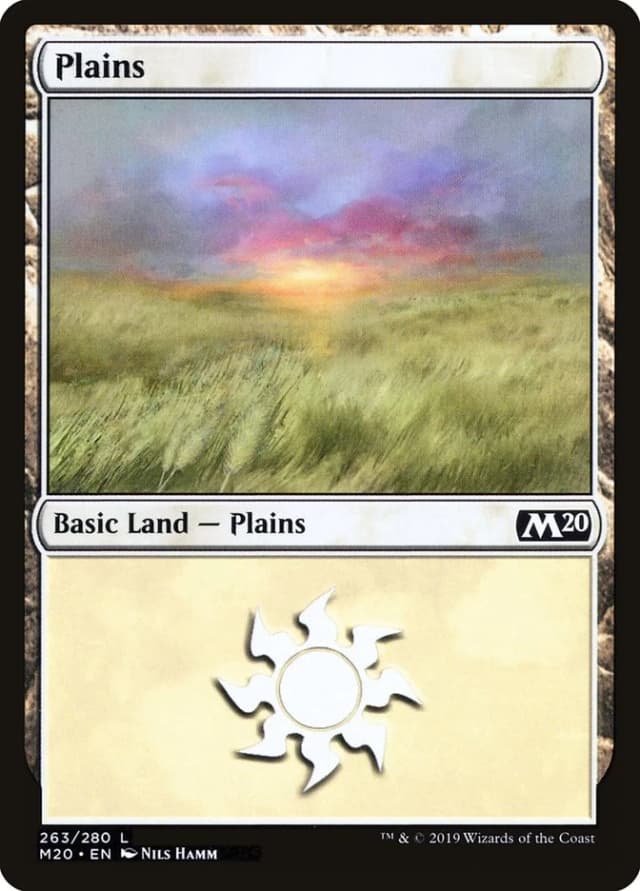 Plains image