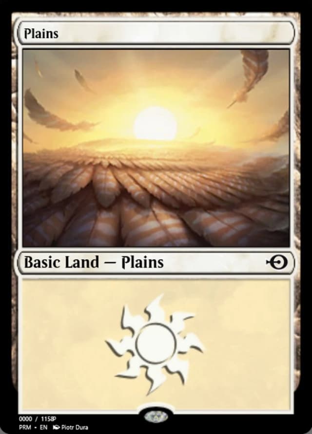 Plains image