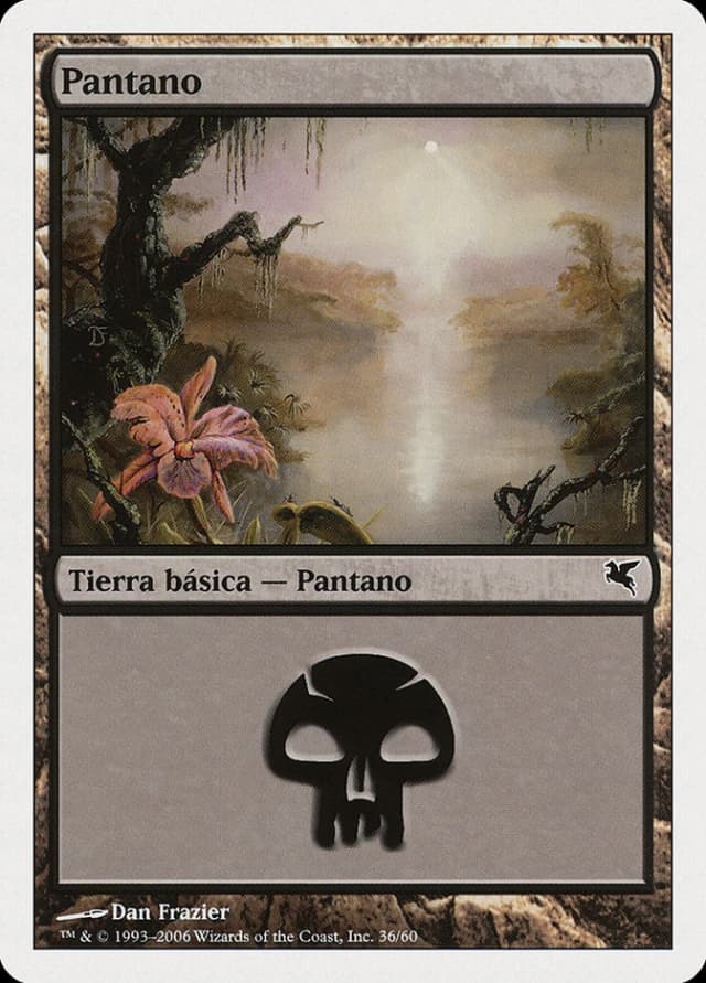 Swamp image