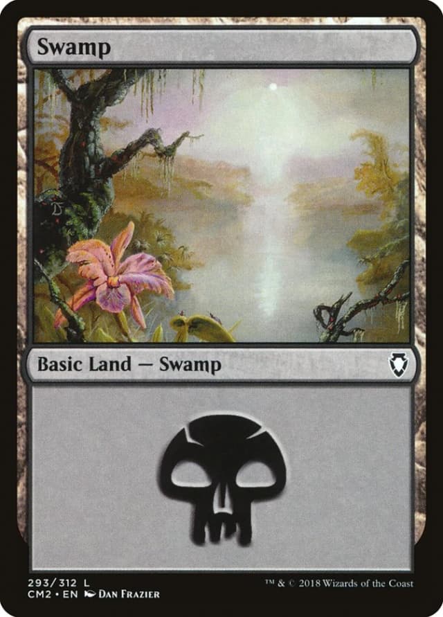 Swamp image