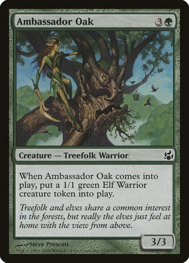 Ambassador Oak image