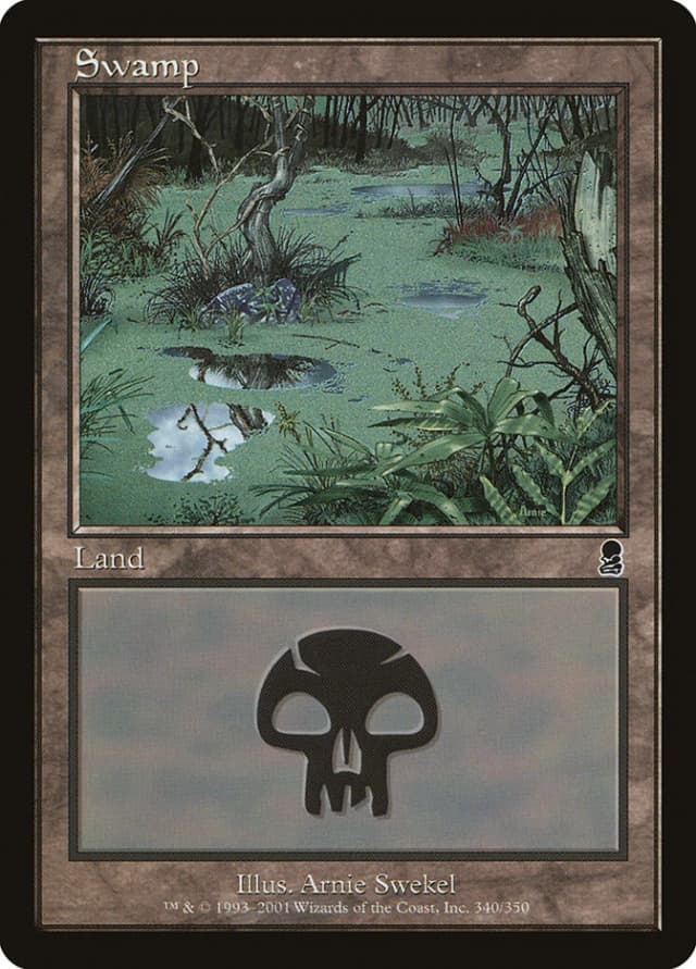 Swamp image