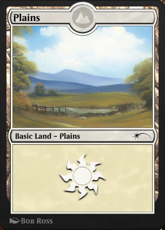 Plains image