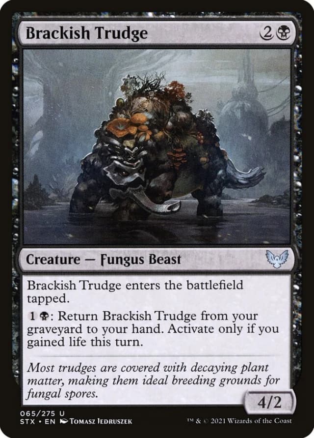 Brackish Trudge image