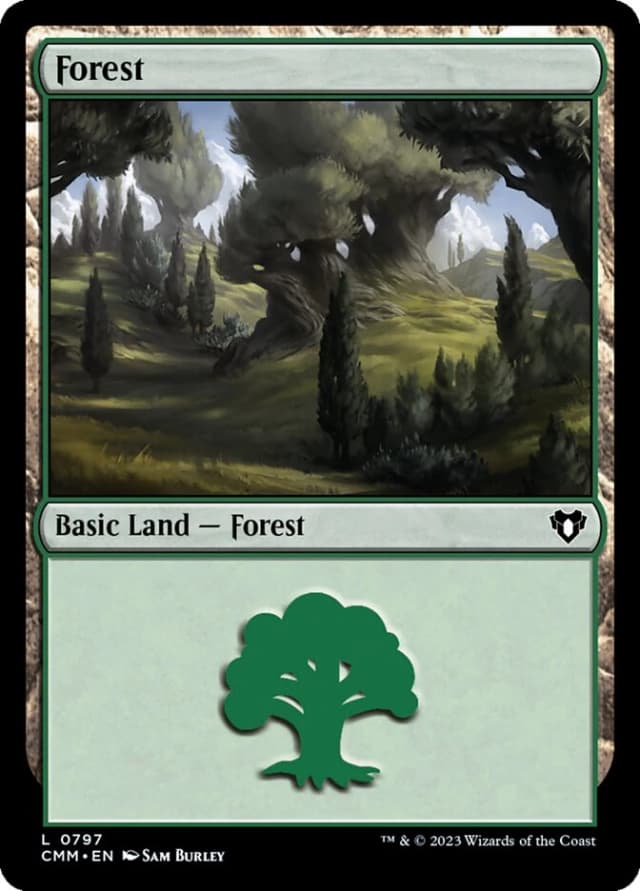 Forest image