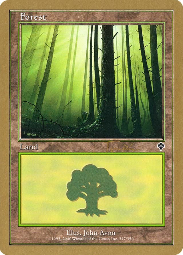 Forest image