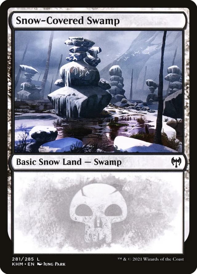 Snow-Covered Swamp image