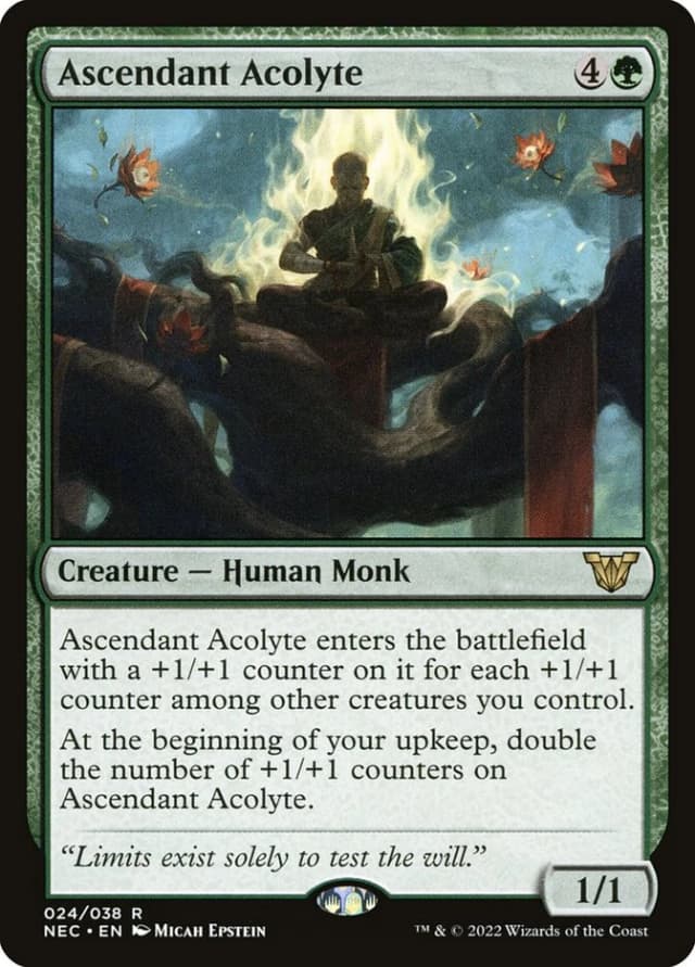Ascendant Acolyte image