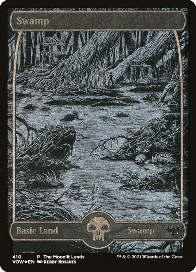 Swamp image