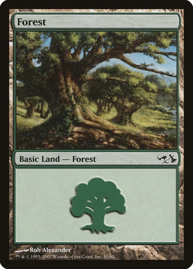 Forest image