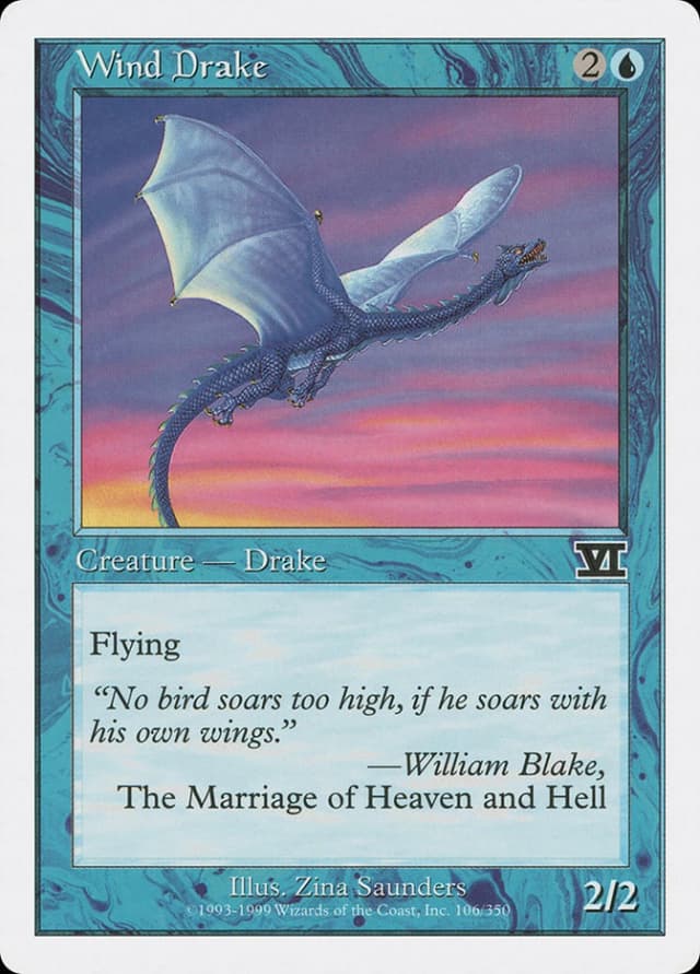 Wind Drake image
