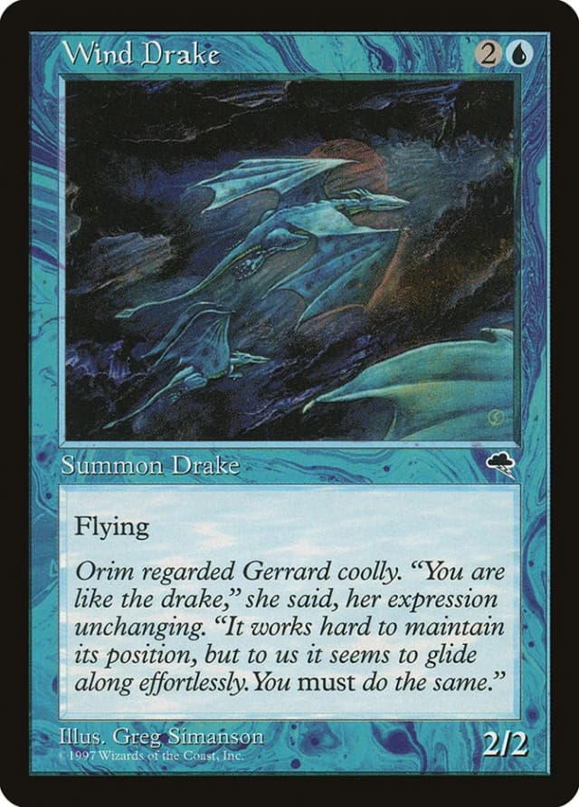 Wind Drake image