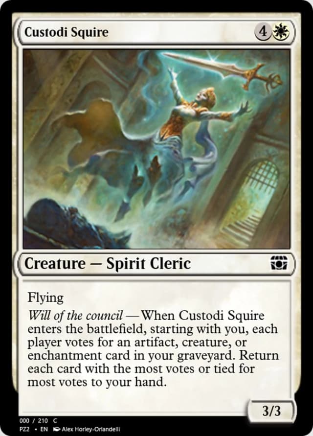 Custodi Squire image