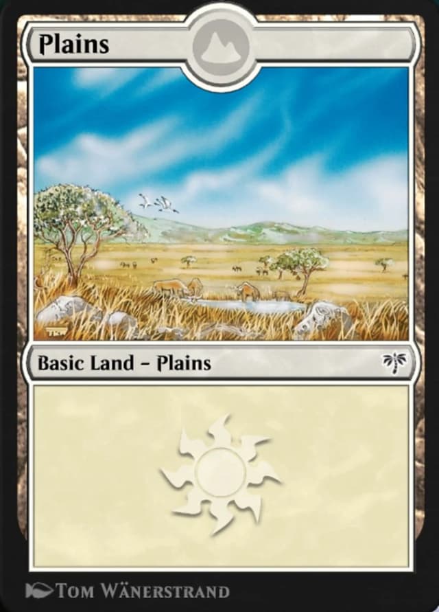 Plains image