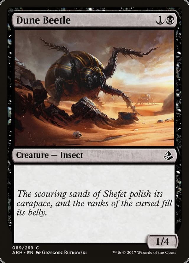 Dune Beetle image