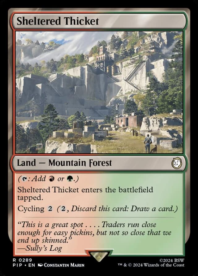 Sheltered Thicket image