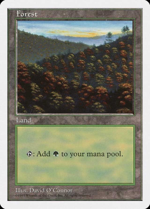 Forest image