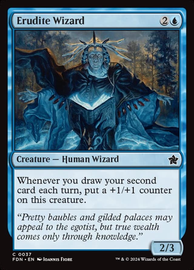 Erudite Wizard image