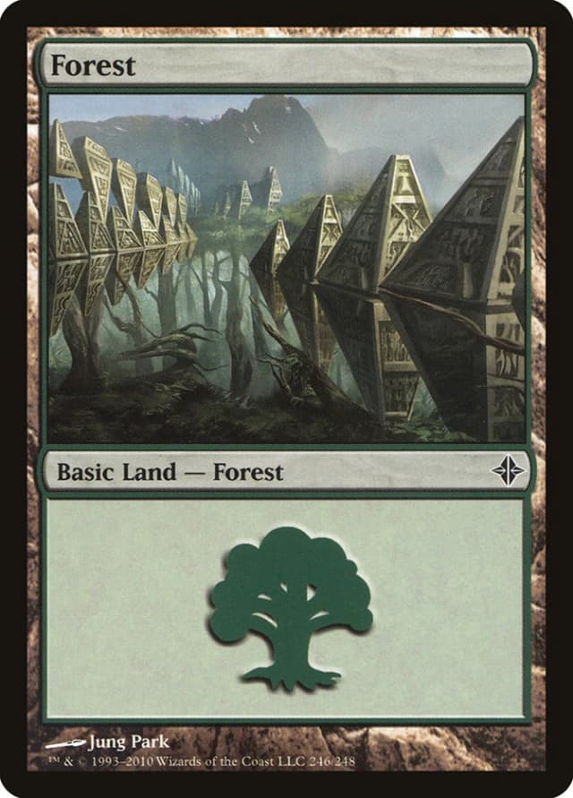 Forest image