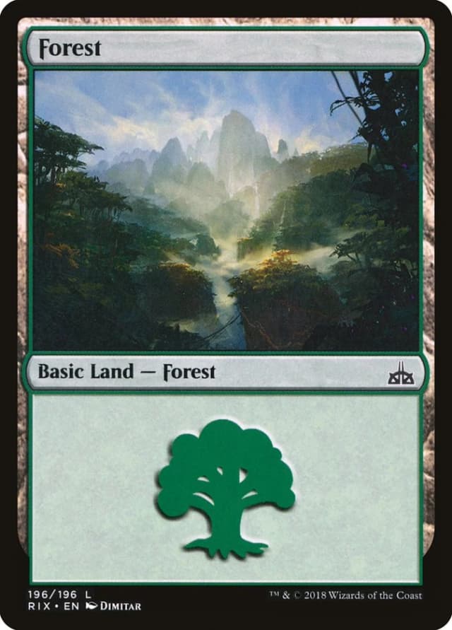Forest image