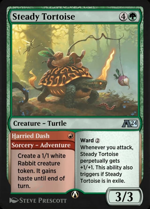 Steady Tortoise // Harried Dash image