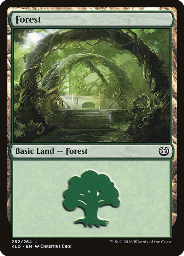 Forest image