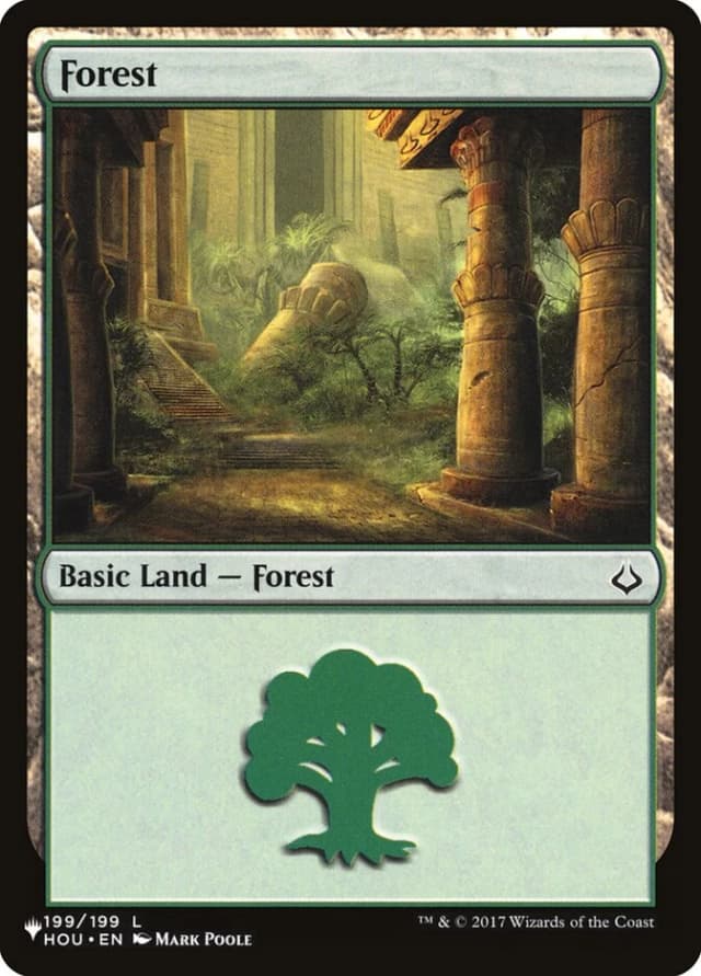 Forest image