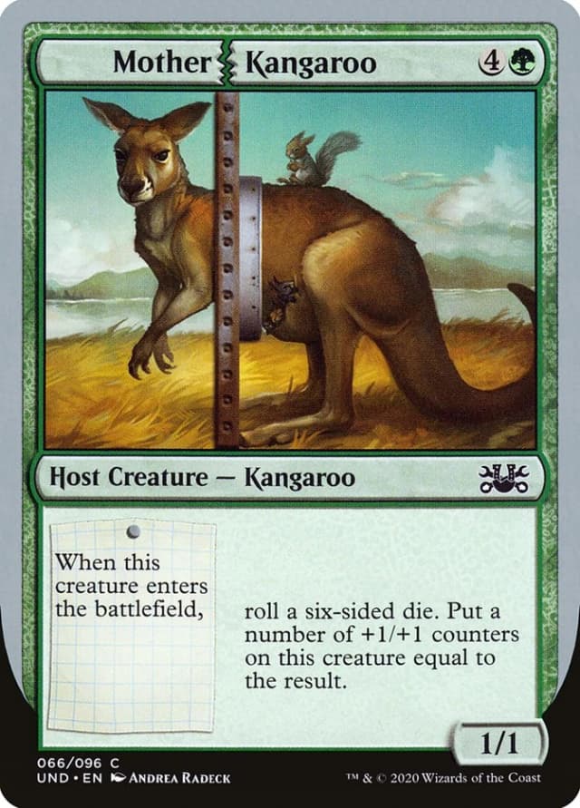 Mother Kangaroo image
