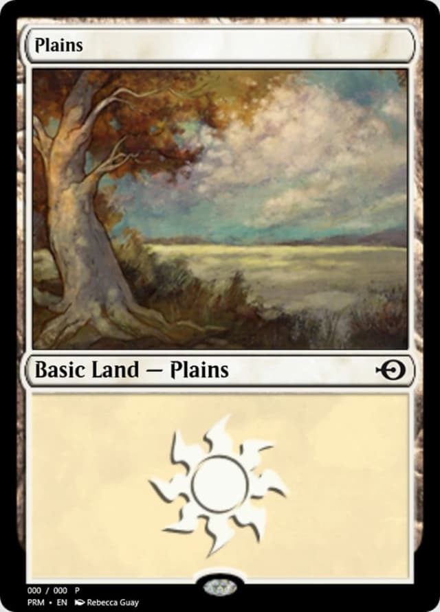 Plains image