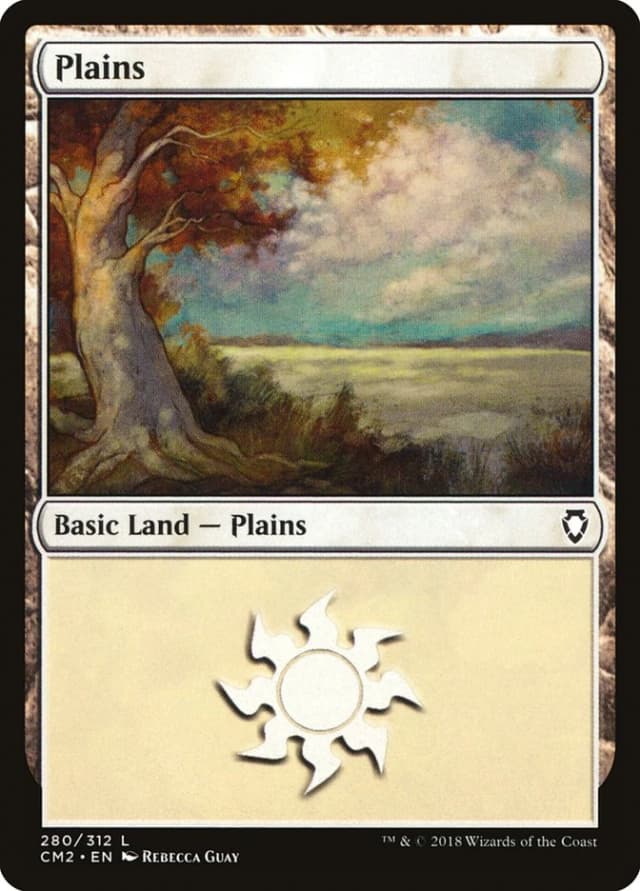 Plains image