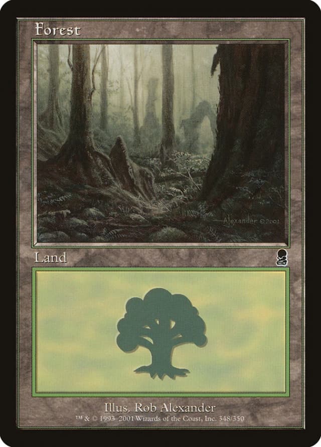 Forest image