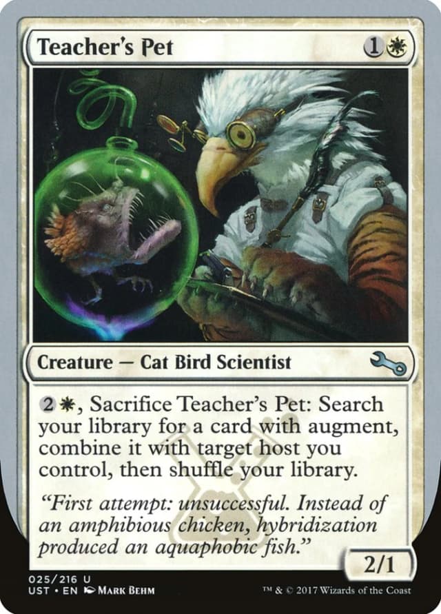 Teacher's Pet image