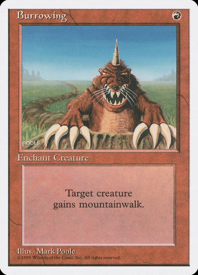 Burrowing image