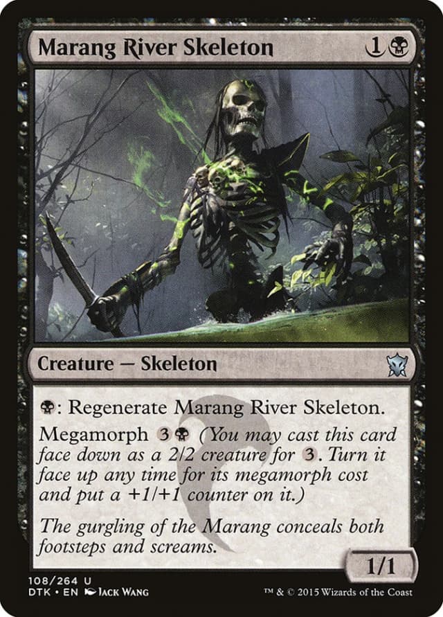 Marang River Skeleton image