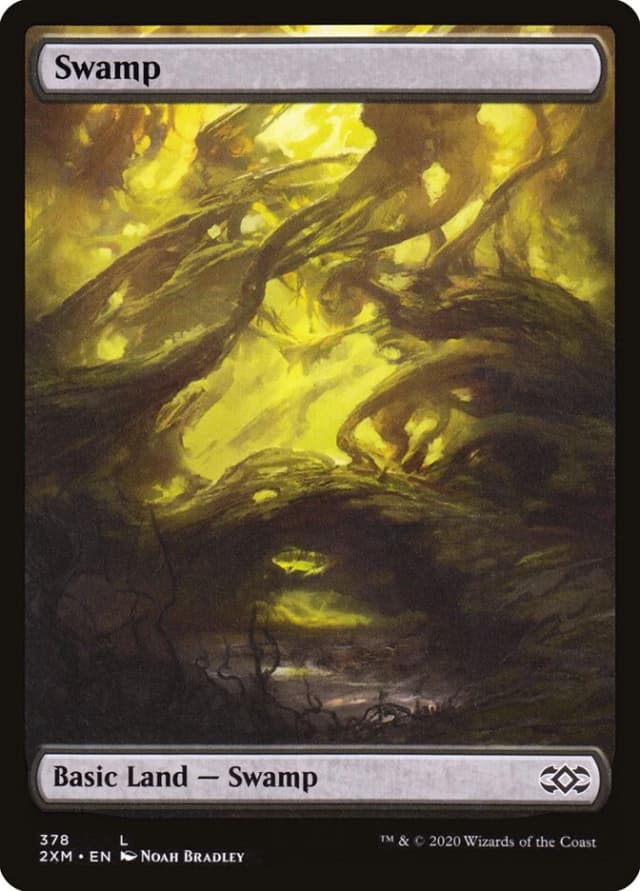 Swamp image